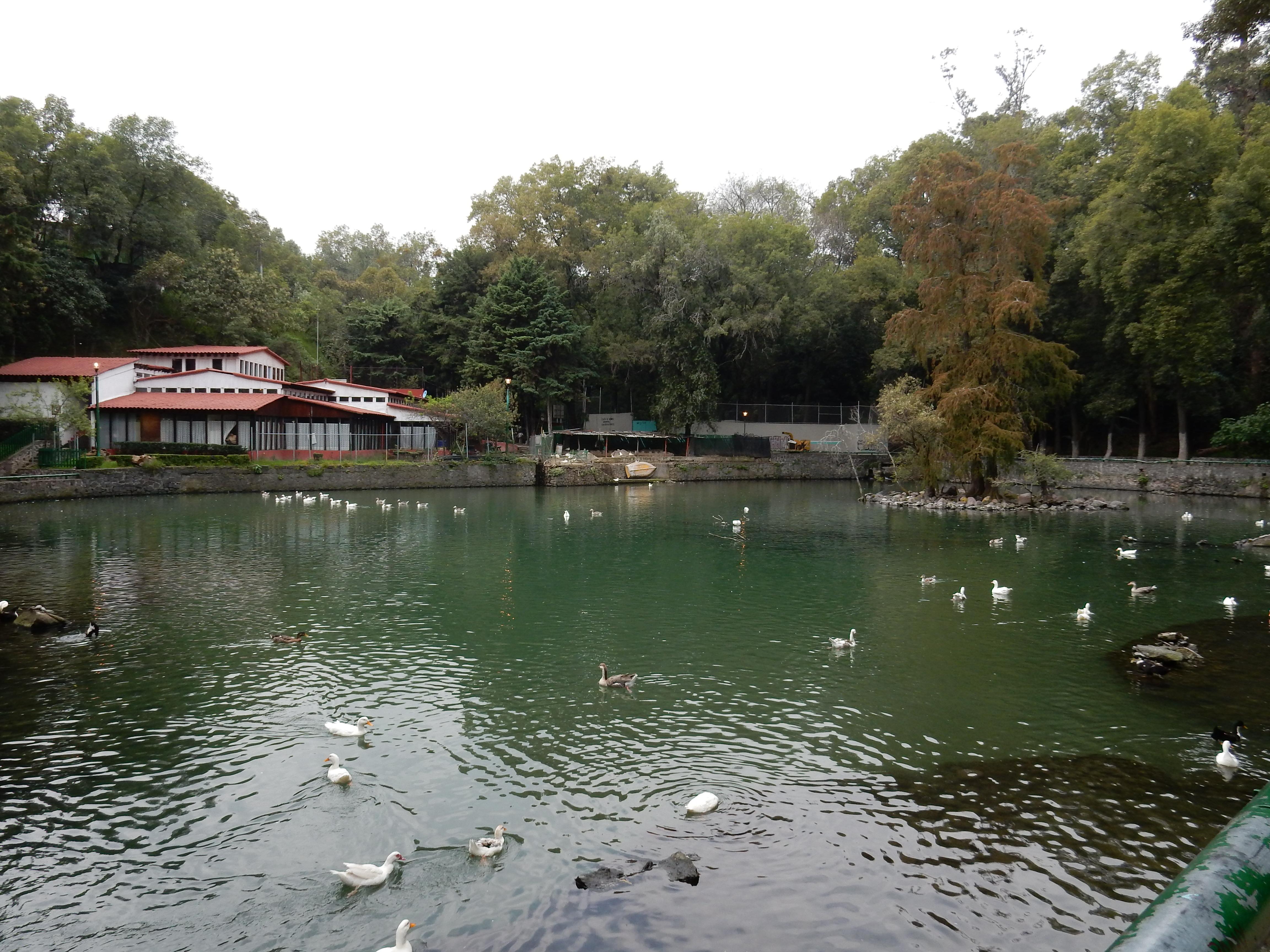 Parque Nacional Bosque de Tlalpan